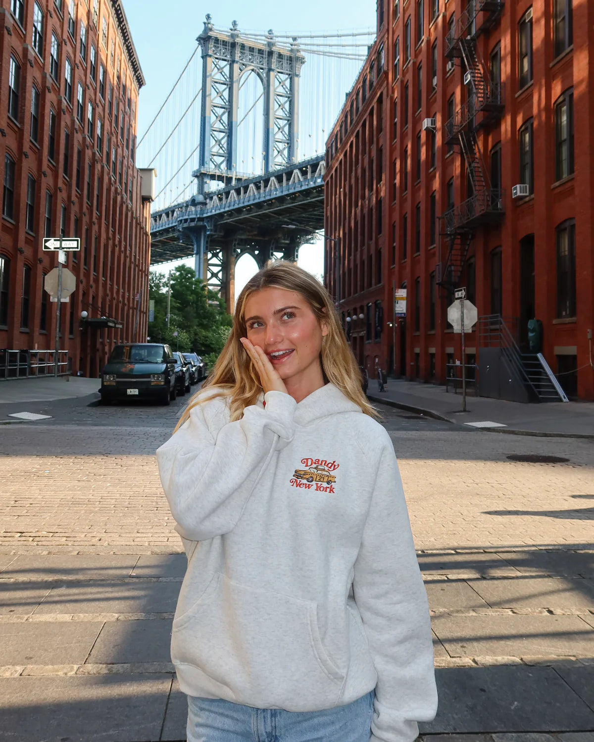 NYC Hoodie Collection
